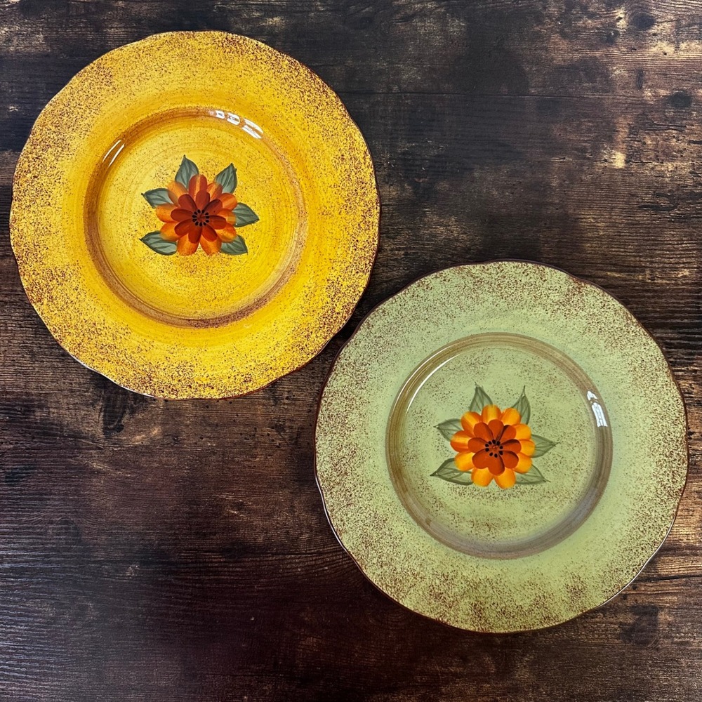 Casa Cristina Home Collection by CBK Floral Ceramic Dinner Plates Set of 2 Mixed